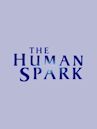 The Human Spark