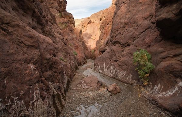 Lake Mead trails closing May 15 as summer heat builds