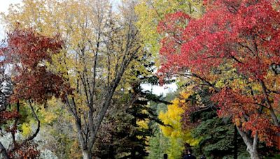 Edmonton weather: A typically chilly Autumn day