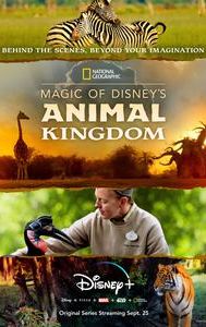 Magic of Disney's Animal Kingdom