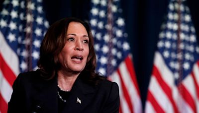 Kamala Harris' opening argument: Vote for me and I'll decimate Project 2025