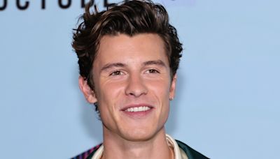 Shawn Mendes Sets Pulses Racing With Steamy Shower Shots