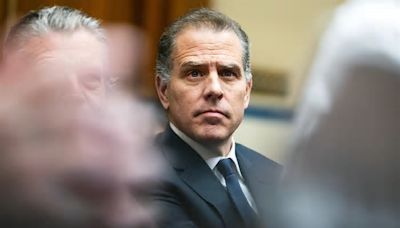 Former Secret Service agent sues New York Post and Daily Mail over Hunter Biden claim