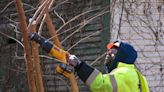 Detroit's Alley Clean Up removes 90,000 tons of trash in just over 3 years