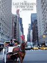 The Last Horsemen of New York