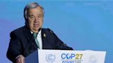 COP27: What are they saying at the climate summit?