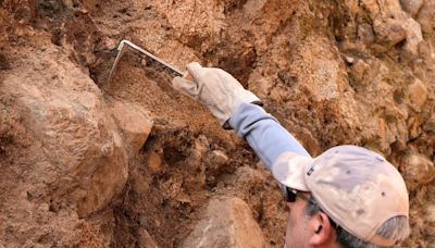 La historia de cómo un géologo alemán descubrió la Falla San Ramón - La Tercera