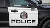 Calgary woman facing criminal charge after dog left in hot car dies