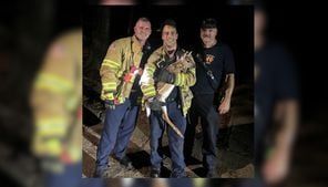 Roswell firefighters spring into action, save deer stuck in pond