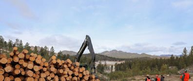 Black Hills sawmill lays off workers and alleges Forest Service is to blame