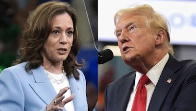 Kamala Harris tiene ligera aventaja sobre Trump para las presidenciales: encuesta - El Diario NY