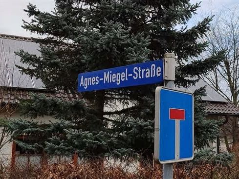Kommission soll Höxters problematische Straßennamen unter die Lupe nehmen