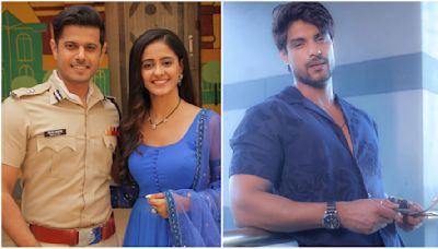 After Ayesha Singh, Neil Bhatt To Romance Ankit Gupta’s Popular HEROINE In New Colors Show? Check DEETS