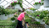 Maine greenhouses report slow start to growing season