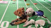 See the Starting Lineup for the First 'Great American Rescue Bowl'