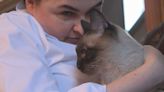 Clients raise concerns over animal care at Calgary pet hospital | Globalnews.ca