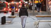 Clima en Buenos Aires: el pronóstico del tiempo para este martes 23 de julio | Jornada primaveral