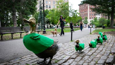 Photos: The 'Make Way for Ducklings' catch Celtics fever ahead of NBA Finals