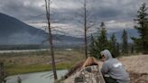 Animals, like those in Jasper, know how to dodge wildfires, say biologists