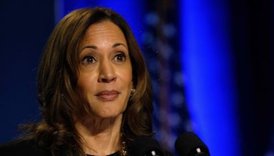 Kamala Harris opens up about her role at McDonald's during college years: ‘Part of the reason I…’