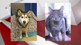 Pet of the Week: Pandora & Charlie