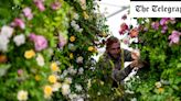 Mild winter forces Chelsea Flower Show designers to swap out May blooms