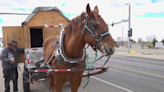 18-year journey: Man makes 5th trip across the US in horse-drawn carriage