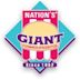 Nation's Giant Hamburgers