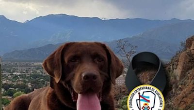 Muere Nerón, el perro que encontró rastros de Loan en la camioneta de Pérez