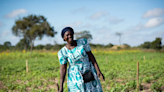 Cisco: Empowering Women and Transforming Economies Globally