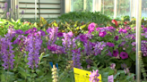 MATC's annual plant sale returns Saturday, proceeds to support horticulture club