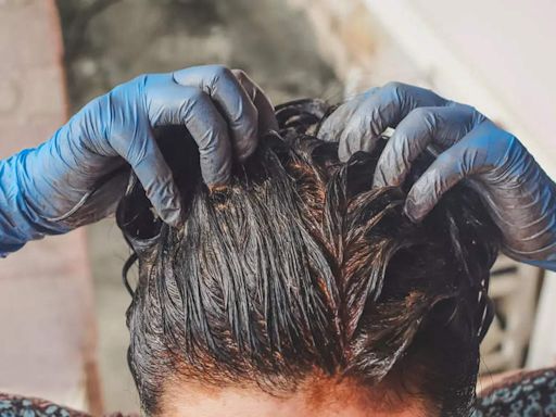 Henna hair dye for hair: How to make it and use it for grey hair | - Times of India