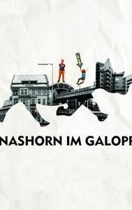 Nashorn im Galopp