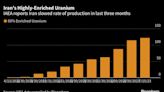 Iran Slows Uranium Production After Secret Diplomacy