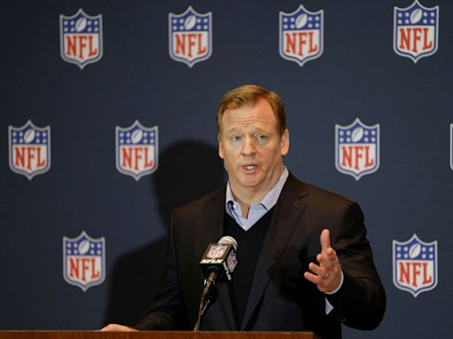 Professors Attack Goodell’s Authority As Troubling Workplace Precedent