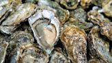 Norovirus cases reported in San Diego County linked to frozen oysters
