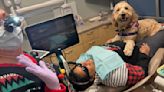 A dog on your lap at the dentist? ‘Yes, please.’