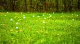 Keep your lawn 'thick and healthy green' — avoid 'single biggest mistake people make'