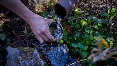 California environmental group sues U.S. Forest Service over Arrowhead bottled water operation