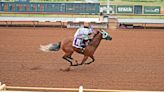 Trainer Santos Carrizales, Jr. jockey Francisco Calderon have big weekend in Ruidoso