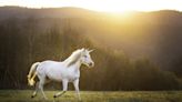 The age of unicorns is not over. Here’s why you shouldn’t count out tech’s growth equity investors