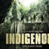 Indigenous (film)