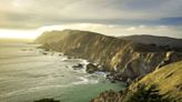 Seals, Foraging and Buffalo Soft Serve: 5 NorCal Summer Day Trips | KQED
