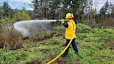 3 brush fires extinguished Saturday afternoon
