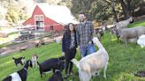 How ‘burned-out tech guy,’ event planner became cheesemakers at 150-year-old SLO County ranch