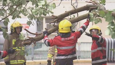 天文台取消所有暴雨警告信號 黃雨期間長沙灣有塌樹