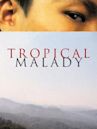 Tropical Malady