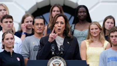 Kamala Harris ‘will pick white guy running mate’ to boost election chances