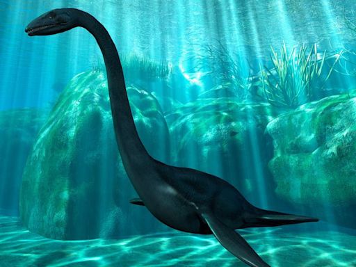 Loch Ness Monster existence 'plausible' following incredible new discovery