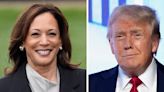 Kamala Harris and Donald Trump campaigns launch rival TV ads in US swing states